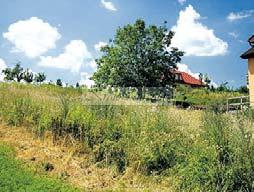 2NP/4 cihlového domu, CP 46 m 2 Tichá lokalita, bezproblém parkování Anuita 270 tis 1 650 000,- Kč Tel 775 571 720 Újezd u Brna, velký RD k rekonstrukci