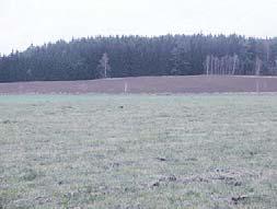 plocha 112 m 2, 5 patro s výtahem, plastová okna, byt ve standardu, za