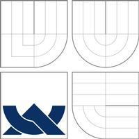 VYSOKÉ UČENÍ TECHNICKÉ V BRNĚ BRNO UNIVERSITY OF TECHNOLOGY FAKULTA PODNIKATELSKÁ ÚSTAV MANAGEMENTU