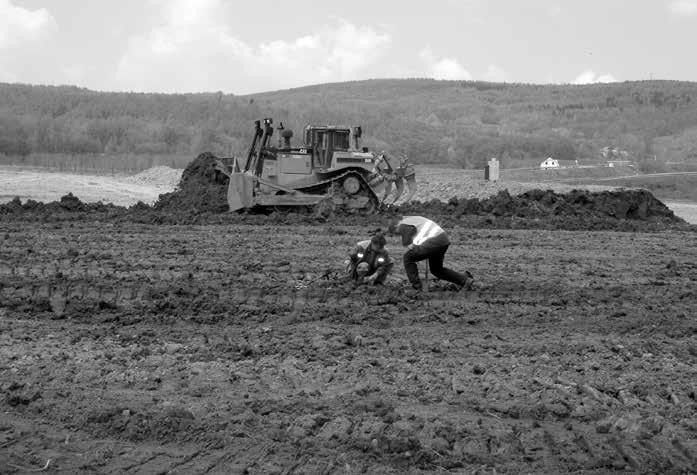 Archeologie množství arzénu, stříbra, antimonu a olova. Naměřené poměry jsou však výrazně zkresleny právě kvůli měření povrchu znečistěného vrstvami korozních produktů.