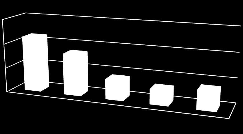 Průměrný počet hostů na 1 ubytovací den 2009-2013 15 11,18 10 8,35 5 0 4 2,97 3,78 průměr 2009 2010 2011 2012 2013 průměr Graf č. 1 Struktura našich hostů se v roce 2013 zase změnila.