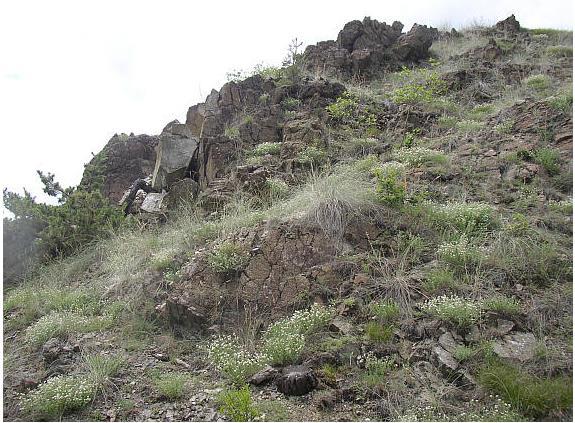 n.m. plošina and skalnaté svahy, řeka Jihlava Unikátnost: Mikroklima (horko, sucho) Geologický