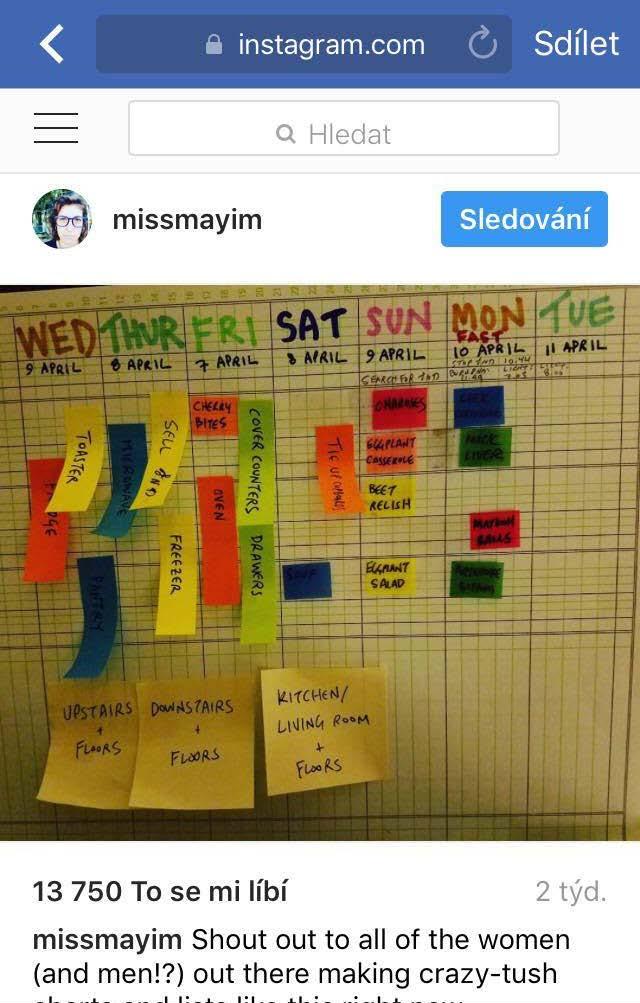 Obrázek 3 - Úklidový plán Mayim Bialik Mayim Bialik, herečka z populárního seriálu The Big Bang Theory a doktorka neurobiologie, je známá pro své aktivity na sociálních sítích.