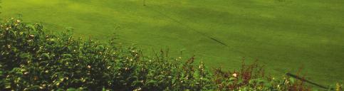 Produkty Granuform SRF Slow Release Fertilizer Granuform SRF je hnojivo s prodlouženým účinkem speciálně vyvinuté pro optimální hnojení golfových greenů a odpališť.
