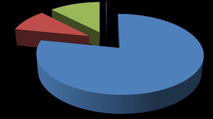 UTB ve Zlíně, Fakulta managementu a ekonomiky 43 Nakládání s odpady ve Valašských Kloboukách - rok 2009 12,01% 0,17% 9,62% D1 - skládkování R12 - úprava R5 - recyklace D10 - spalování 78,20% Graf 5 -