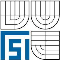 VYSOKÉ UČENÍ TECHNICKÉ V BRNĚ BRNO UNIVERSITY OF TECHNOLOGY FAKULTA STROJNÍHO INŽENÝRSTVÍ ÚSTAV MATERIÁLOVÝCH