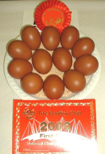 Obrázek č.