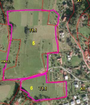 Obr. 16: Překryv ploch č. 5 a 6. s vrstvou dat mapování biotopů (2001-2005). Foto č. 4: Charakter biotopu na navržené ploše č. 5. plocha č. 6 SO.