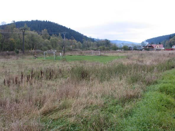 Foto č. 9: Charakter biotopu na navržené ploše č. 11. plocha č. 13 SO.3 - plocha smíšená obytná vesnická, Pluskoveček.