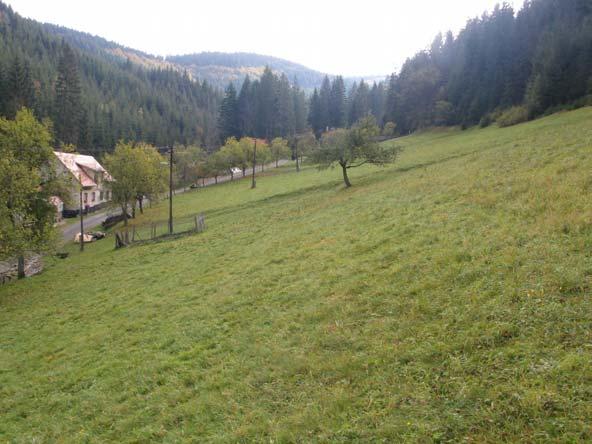 Foto č. 10: Charakter lučního biotopu na navržené ploše č. 13. plocha č. 14 plocha občanského vybavení, Pod přehradou I.