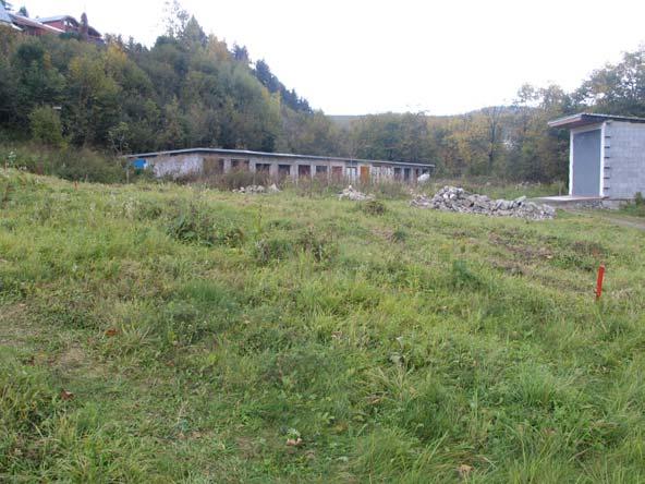 dle terénního mapování: mozaika X7 Ruderální bylinná vegetace mimo sídla (70 %) a X1 Urbanizovaná území (30 %) Poznámka: v roce 2010 byly cca 50 m jihozápadně od plochy nalezeny stopy vlka obecného