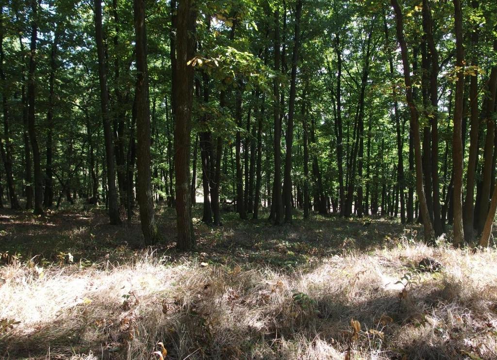 rezervaci Zlín Obr.