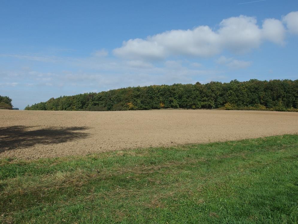 přírodní rezervace