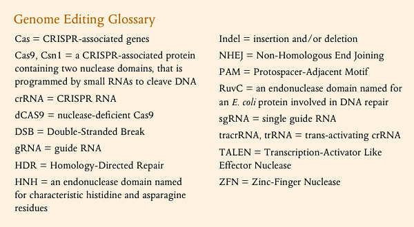 (RGENs) = RNA-guided