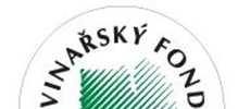 VINAŘSKÁ TURISTIKA Čtyři desetiny českých dospělých již někdy slyšely o vinařské turistice. Čtyři desetiny z informovaných dotázaných již někdy navštívily jižní Moravu za účelem vinařské turistiky.