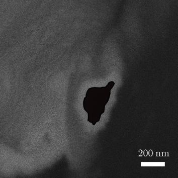 Pro lepší zřetelnost byl materiál optického vlákna zvýrazněn černou barvou. Na základě tohoto obrázku byla určena reálná tloušťka vrstvy nanesená na vlákno.