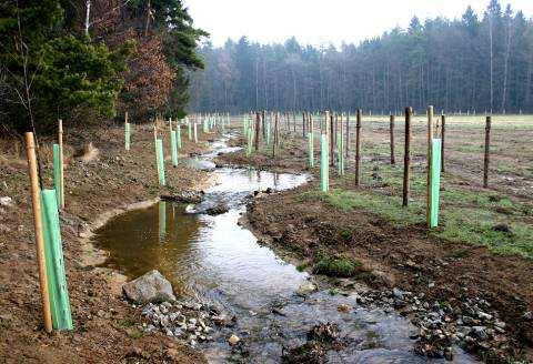 Obr.4 Pekelský potok u Zdislavic po dokončení stavební části revitalizace v roce 2007. Bylo vytvořeno nové, přírodě blízké koryta.