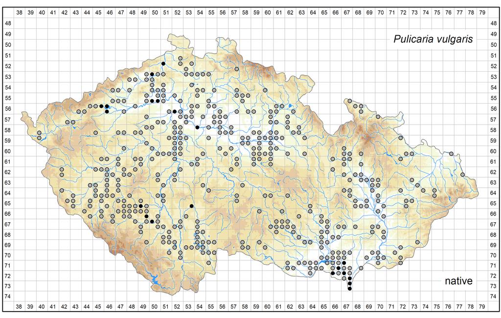 Distribution of Pulicaria vulgaris in the Czech Republic Author of the map: Kateřina Šumberová Map produced on: 08-08-2017 Database records used for producing the distribution map of Pulicaria