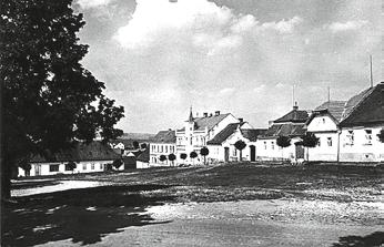Ještě větší obavy jsme ale měli z horka, protože v tomto prostoru není žádný stín. Proto jsme postavili velké stany a všechna vystavená zvířata byla pod nimi skryta. Nakonec bylo vše jinak.