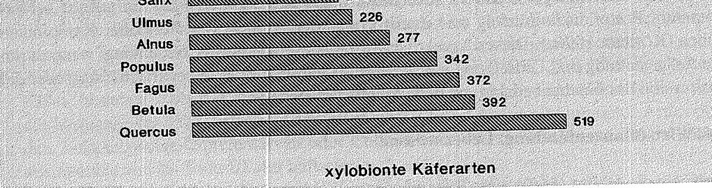 Saproxylic