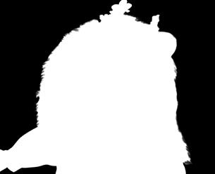 Díky svému stylu se dostal do hledáčku zámořských skautů a po úspěšném draftu se také vydal do zámoří.