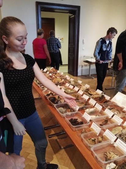 Výuku biologie hub v sextě vhodně doplnila výstava hub v Jihočeském muzeu v Českých Budějovicích, studenti zavítali i na výstavu bromelií,