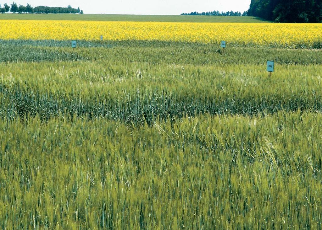 osiv a