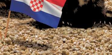 Výrazně popraskaný jazyk, který pálí tito lidé mívají sucho v puse, obtížně se jim polyká a jsou to potenciální adepti na diabetes druhého typu a hypertenzi.