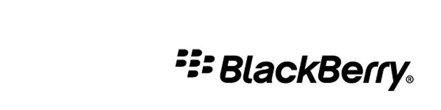 BlackBerry Curve 9300 Smartphone