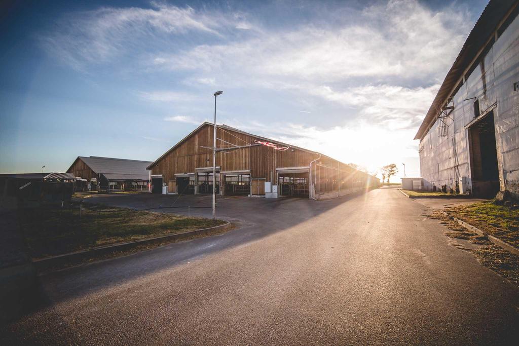 Praktické zkušenosti s programem Farmsoft v Uhelné