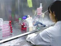 in vitro