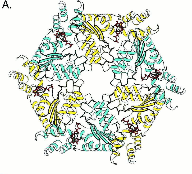 domain Hanson et al.