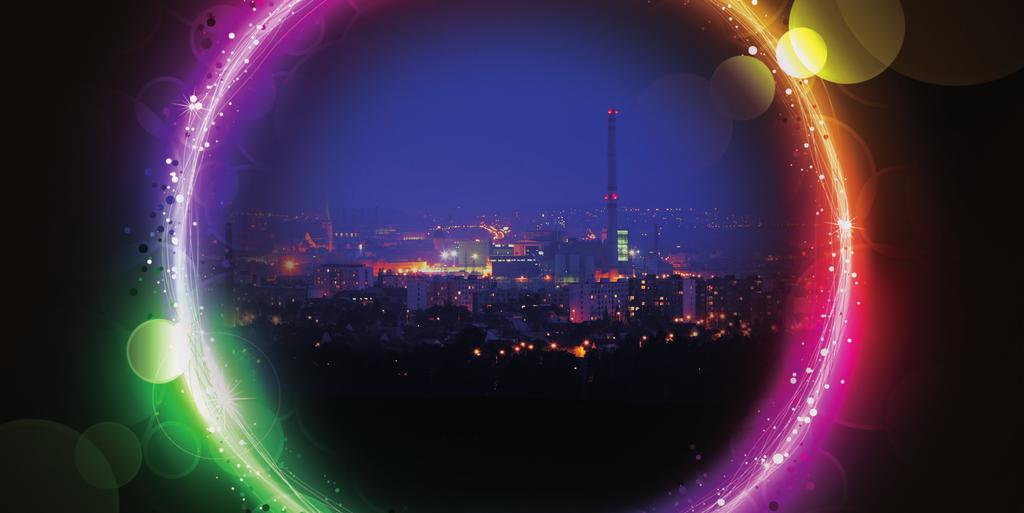 ORGÁNY SPOLEČNOSTI K 31. 12.