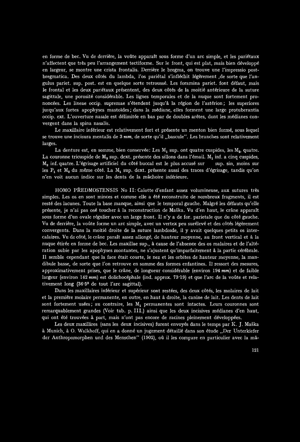 Les lignes temporales et de la nuque sont fortement prononcées. Les lineae occip.