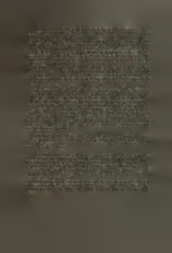 HOMO PŘEDMOSTENSIS No X V III: Fragments massifs ďun cráne, couvert á Textérieur et á 1'intérieur ďabondantes incrustations et en partie soudés avec elles.