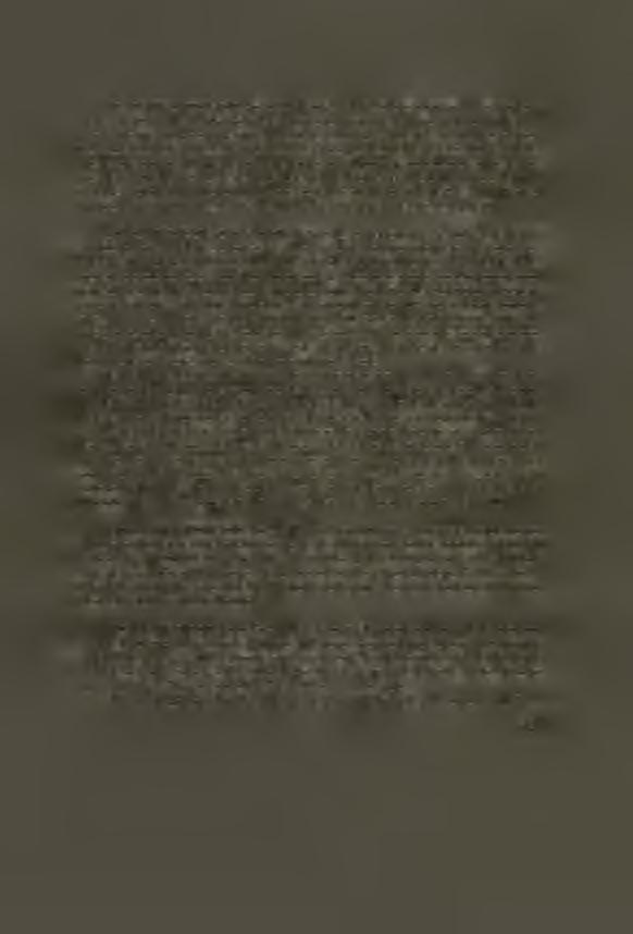 HOMO PŘEDMOSTENSIS N o X X I (Wankel): Moitié droite ď un maxillaire inférieur^ trouvé en 1884 par le Dr. Wankel á Předmostí sous un énorme fémur de mammouth.