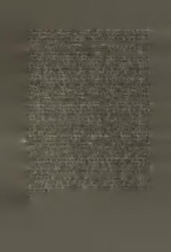 (ind. III. 69*05, IV. 71*05, IX. 66*67, X. 65*85) et par le nez, relativement étroit chez les hommes (ind. III. 44*06, IX. 46*29), mais large chez les femmes (ind. IV. 56*25, X. 54*90).