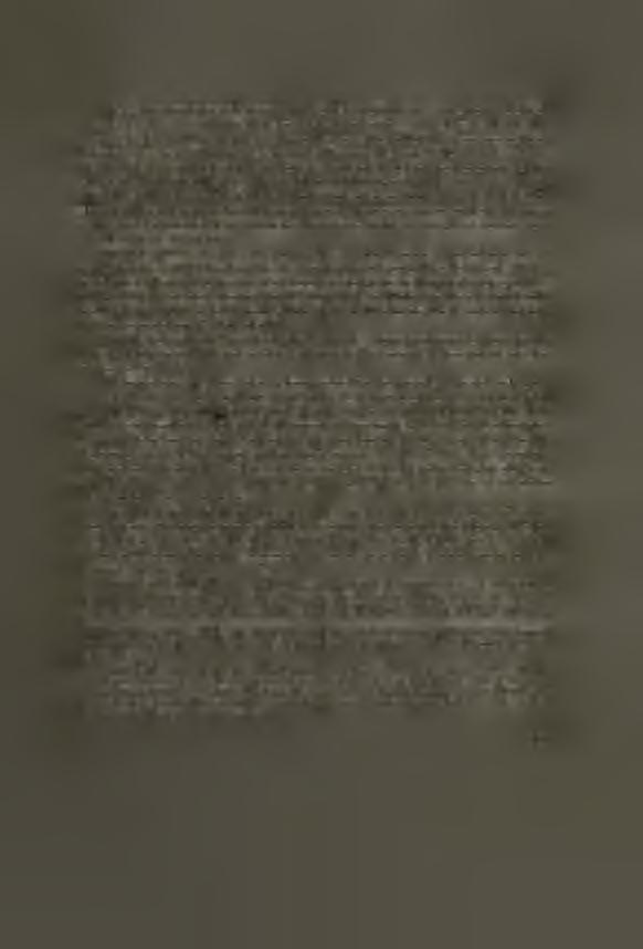 Une autre question est celle de savoir quel est le rapport qui existe entre Ulomme de Předmostí et les autres races du quaternaire récent.