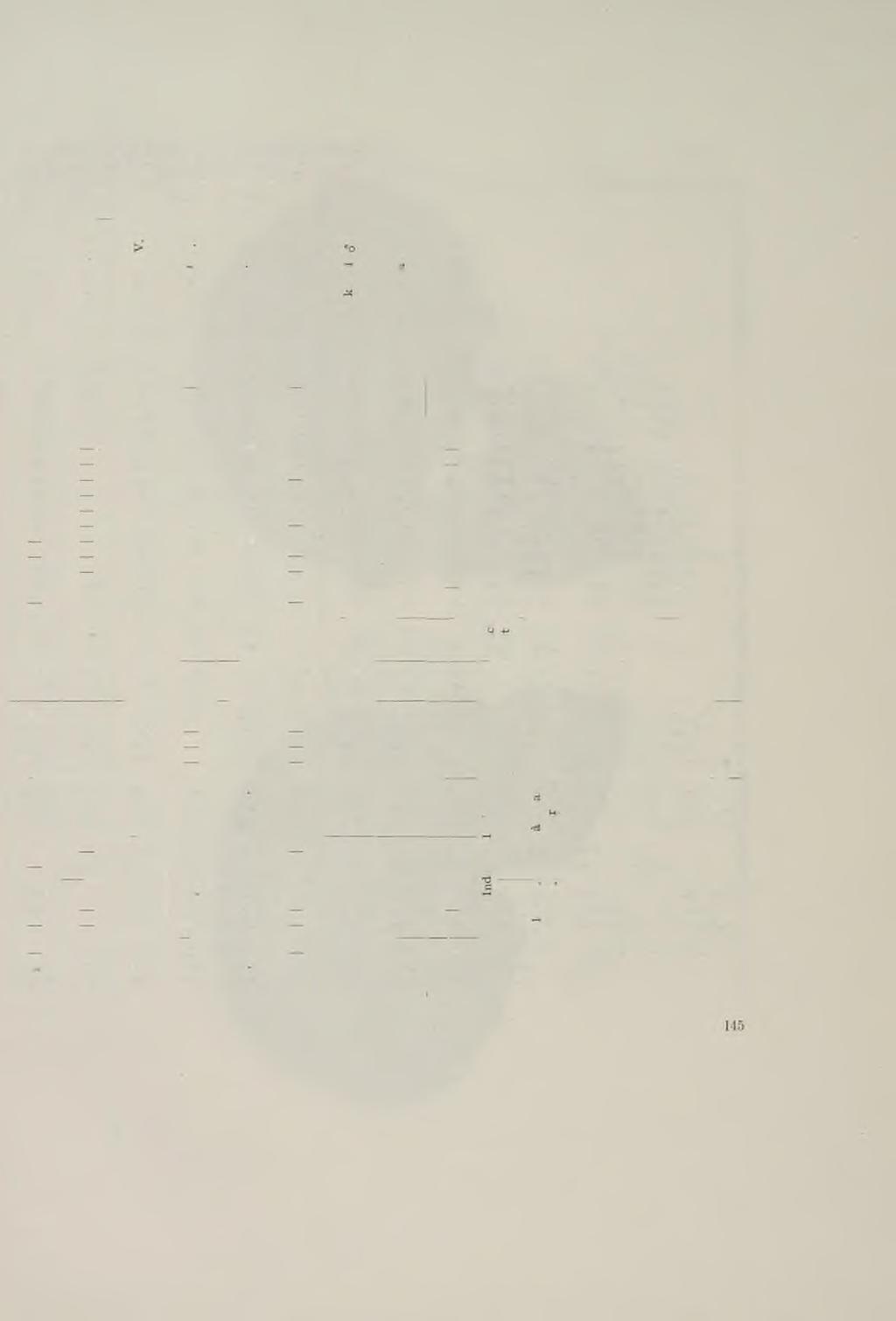 S JINÝM I LEBKAMI TYPU CROMAGNONSKÉHO. AVEC AUTRES CRÁNES DU TYPE DE CRO-MAGNON. Tab. IV.