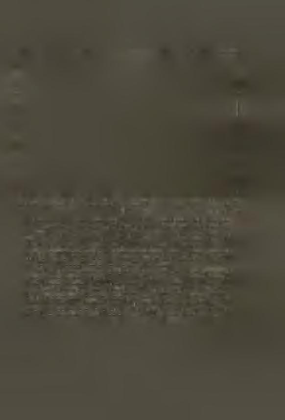 Stratigrafie vrstev předmostských r. 1925 podle K. Zapletala (vrstva i-i = Aurignacien, g-g = starší Aurignacien). La stratigraphie des couches á Předmostí en 1925 ď aprés K.