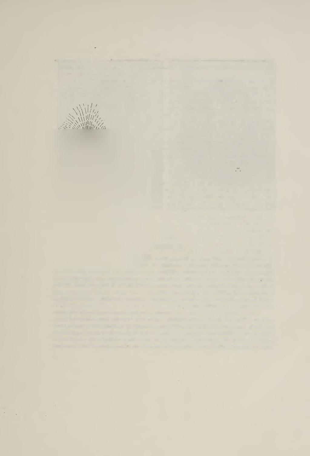 M. Kříž (1896) větrný původ mohutných, až 20 m silných vrstev žlutnice, nahromaděné kolem staršího skalnatého jádra během dlouhé doby diluviální. Žlutnice sahala na Hradisku až na vrchol, t. j. do výše nad mořem 247 m.