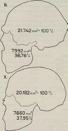 .. 46-9 43-5 39-5 38-5 (Broca)... 43-9 40-7 37-0 36-5 Mandibulo-cerebr. (Hrdlička).