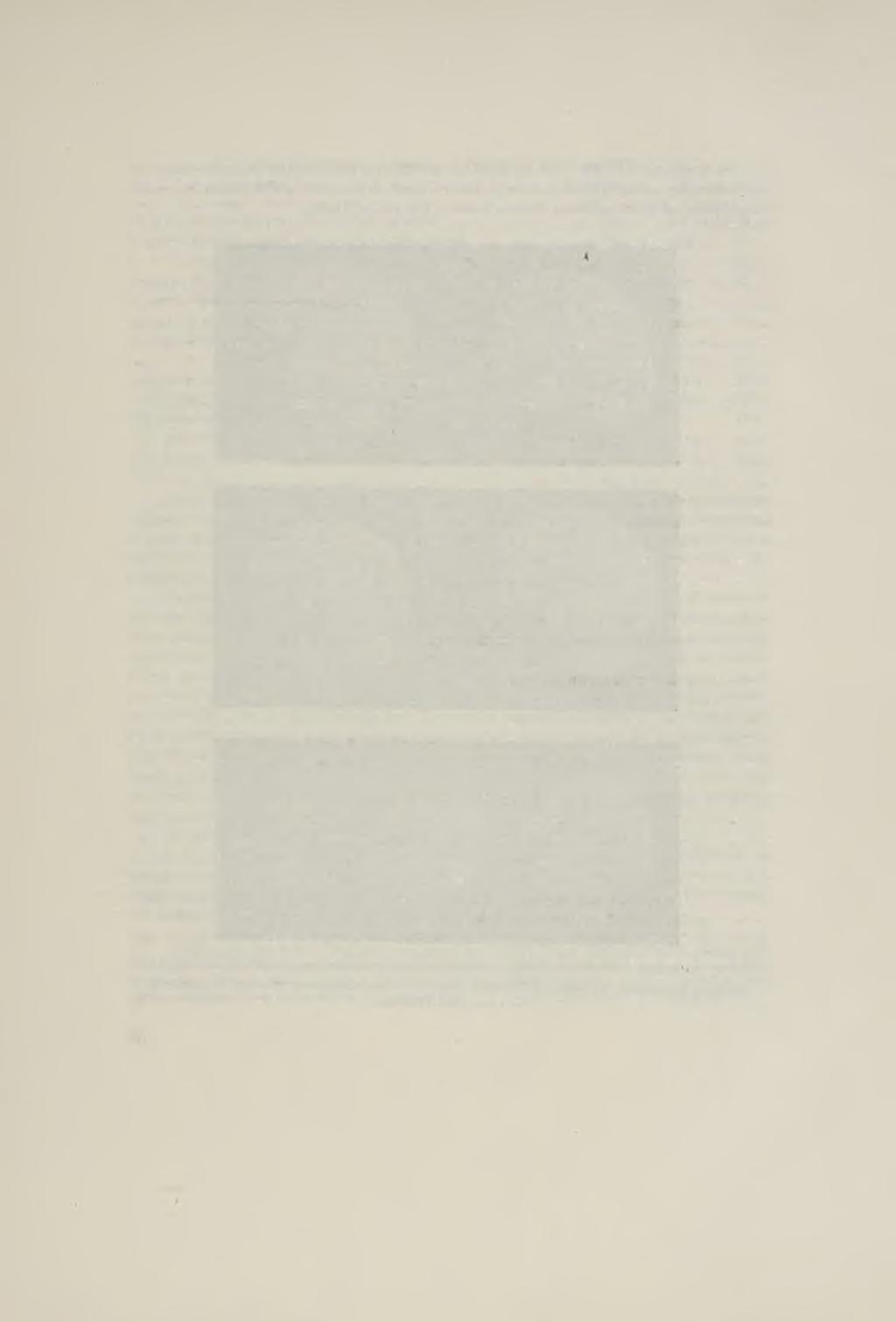 III. Nejlépe Zachovalá lebka dospělého muže středního věku [obr. 1 (III.)]: Sulcus longit.
