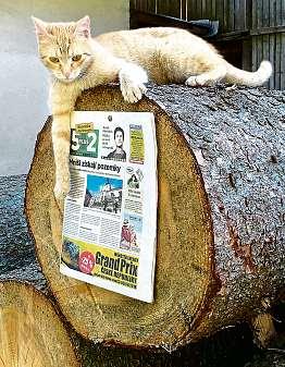 Aktomu schránkovné týdeníku 5plus2! Jak na to? Stačí poslat vprůběhu prázdnin, tedy do 31. srpna, svou fotografii s týdeníkem 5plus2 na e-mail vyhraj@5plus2.cz apřipojit kontaktnasebe.