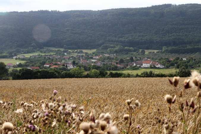 1. SOCIO-EKONOMICKÁ ANALÝZA Socio-ekonomická analýza prostředí přináší popis základních socio-ekonomických charakteristik regionu MAS.