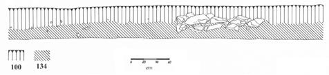 131) v C-X a pás žluté udusané jílové hlíny s kůlovými jamkami (ulož. 128) v B-IX; 4 severní profil čtverce C-X.; 5 Schematický plán SSJ.3. Abb. 6. 1 Plan VSE.