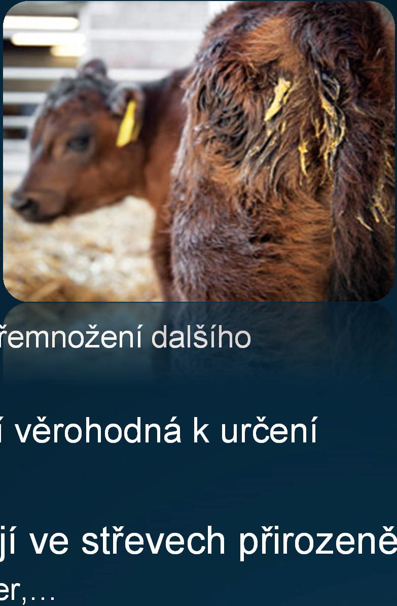 Průjmová onemocnění dietetické průjmy management, složení, infekční průjmy bakterie, viry, protozoa iniciační patogen sekundární přemnožení