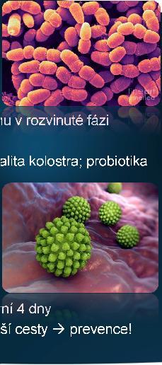 Nejčastější původci Clostridium perfirgens rychlý průběh koliky nebo poruchy nervového systému v rozvinuté fázi krvácivé průjmy prevence vakcinace březích krav; kvalita kolostra; probiotika