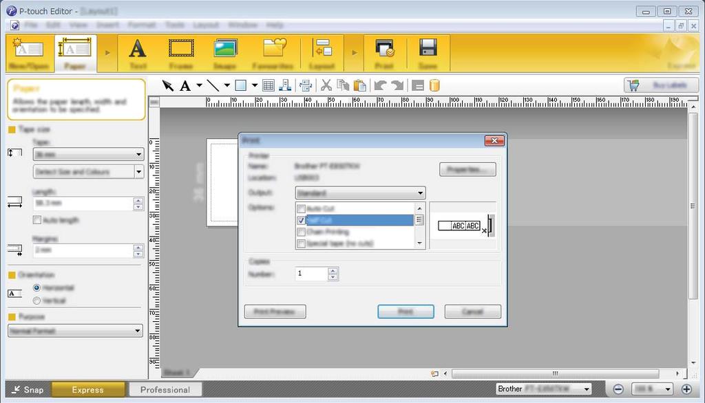 Jak používat program P-touch Editor Tisk pomocí programu P-touch Editor 10 Režim Express 10 V tomto režimu lze rychle vytvářet rozvržení, která obsahují text a obrázky.