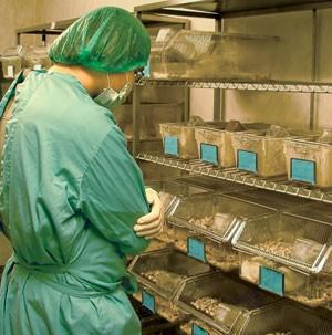 AKUTNÍ TOXICITA intraperitoneální
